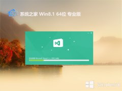 ϵͳ֮win8.1ȫ64λv2024.05⼤