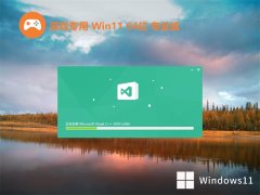 Ϸר⼤win11 64λѡðv2025.05
