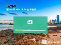 ľ64λwin11޲v2025.05