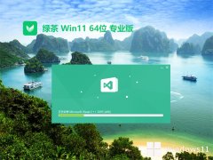 ̲ϵͳwin11»64λv2025.03⼤