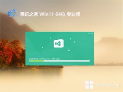 <font color='#339900'>ϵͳ֮win11ֱװ64λv2025.03⼤</font>